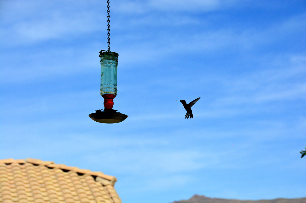 2015-10-30, 036, My Humming Bird Feeder