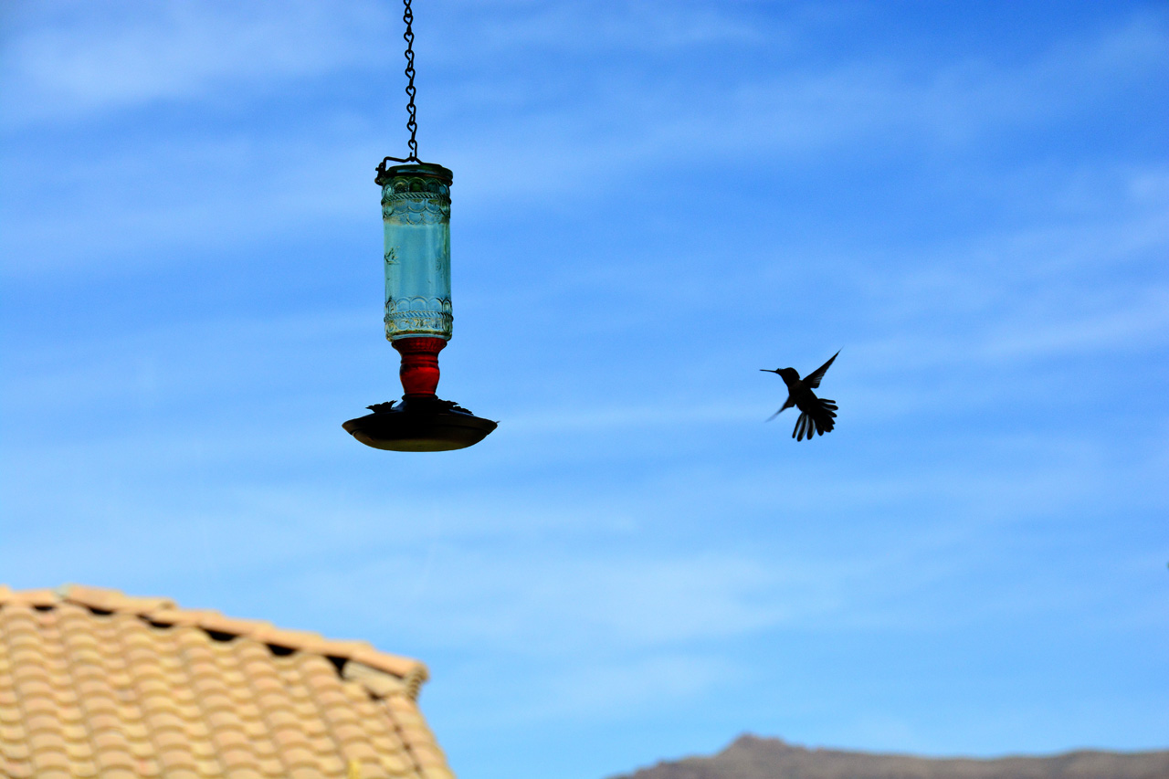 2015-10-30, 037, My Humming Bird Feeder