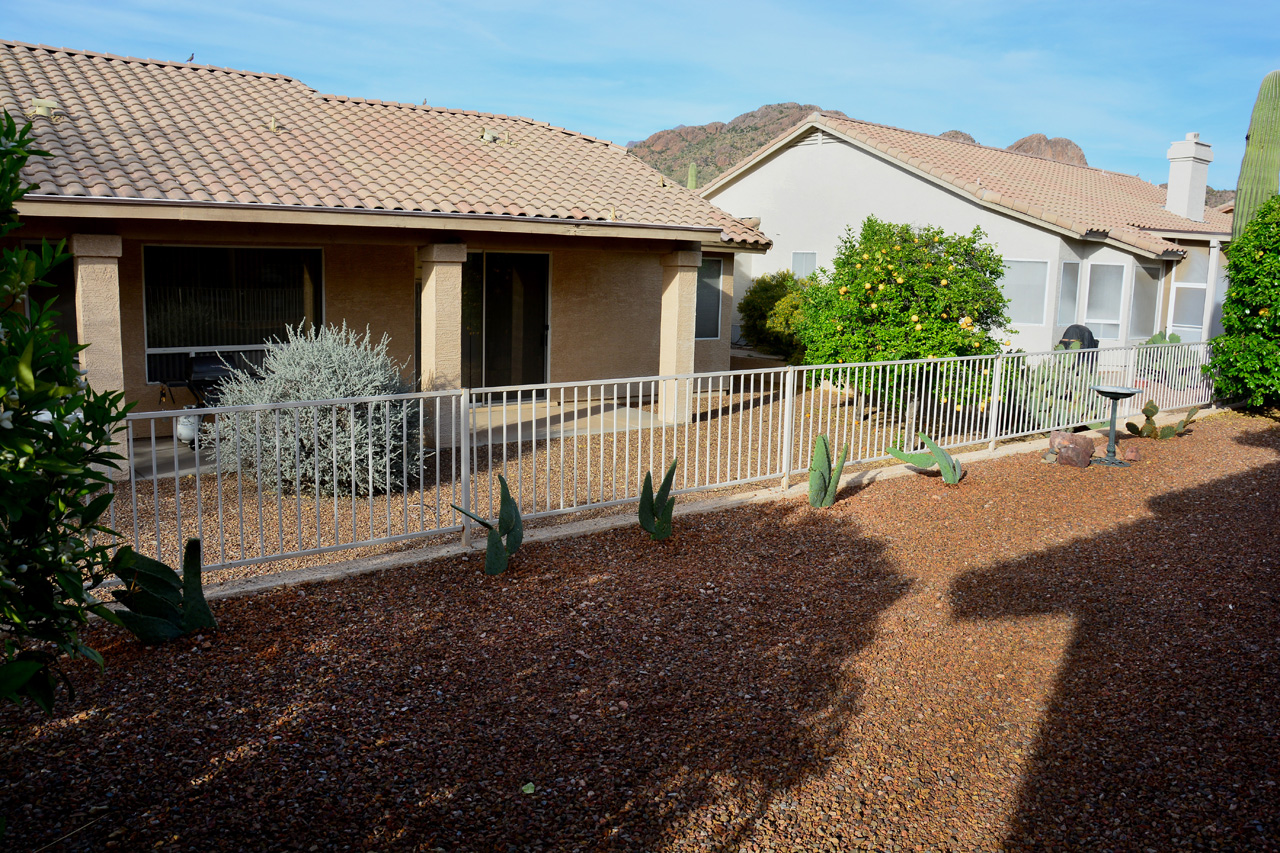 2016-03-21, 006, Cactus alone Rear Fence