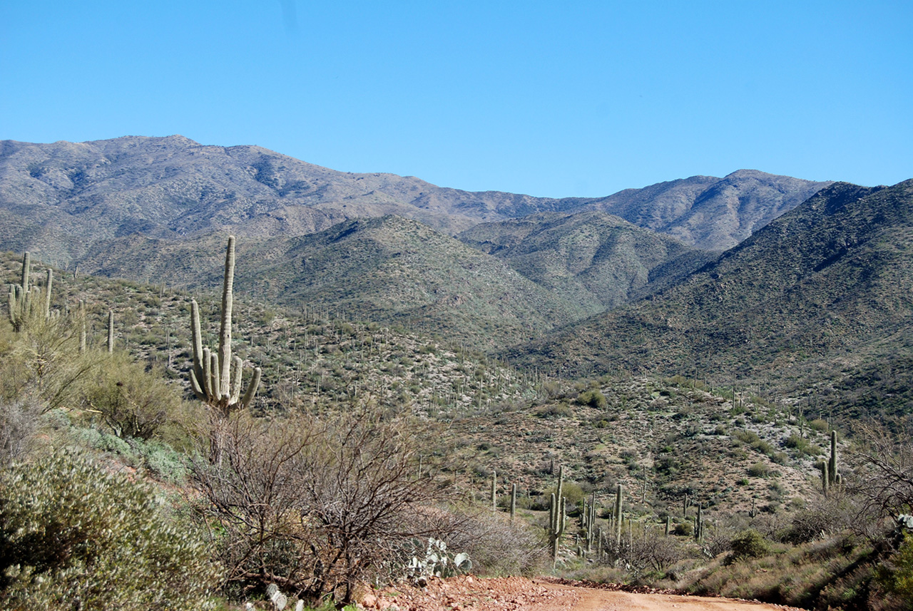 2017-02-21, 012, Montana Mtn Trail, AZ