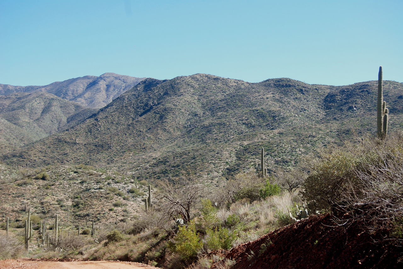 2017-02-21, 013, Montana Mtn Trail, AZ