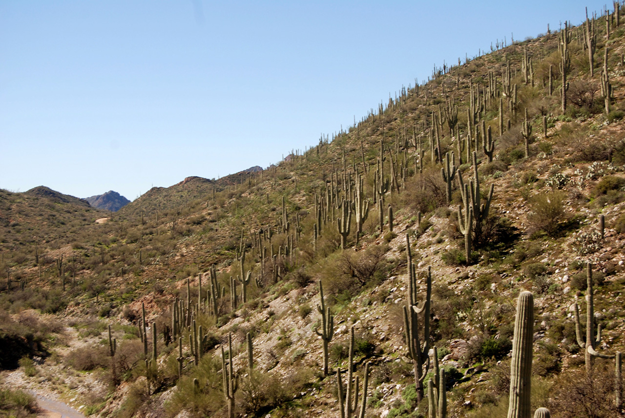 2017-02-21, 014, Montana Mtn Trail, AZ