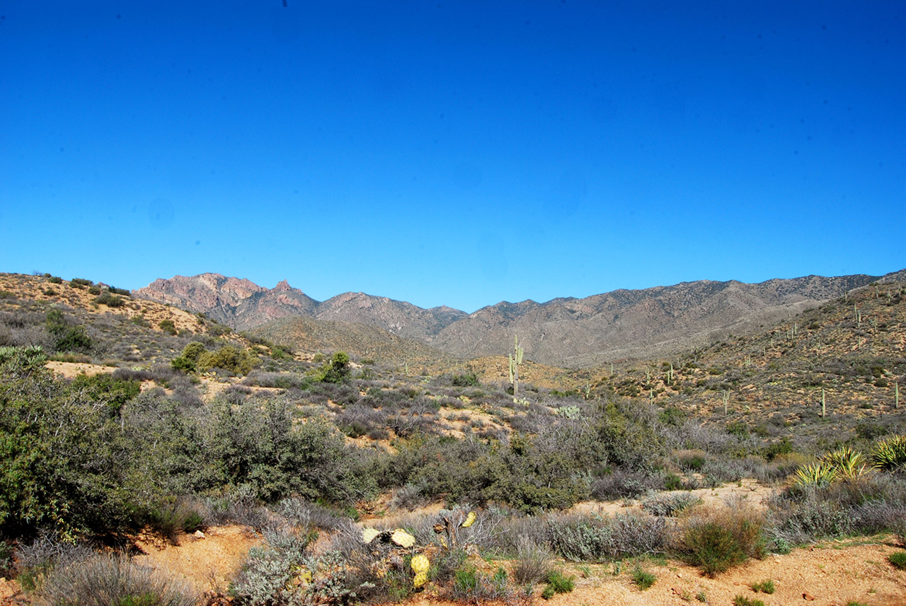 2017-02-21, 015, Montana Mtn Trail, AZ