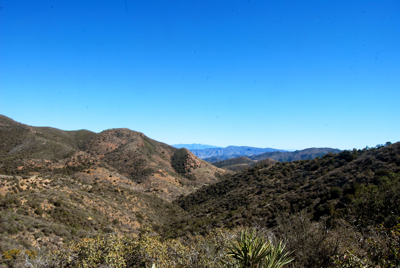 2017-02-21, 021, Montana Mtn Trail, AZ