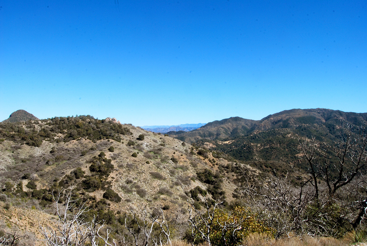 2017-02-21, 023, Montana Mtn Trail, AZ