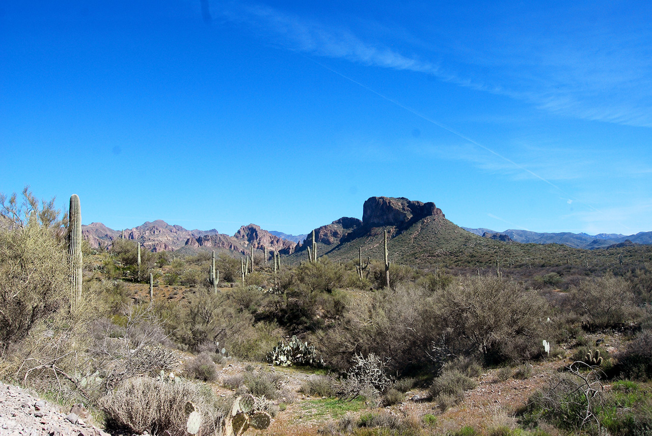 2017-03-09, 002, Montana Mtn Trail, AZ