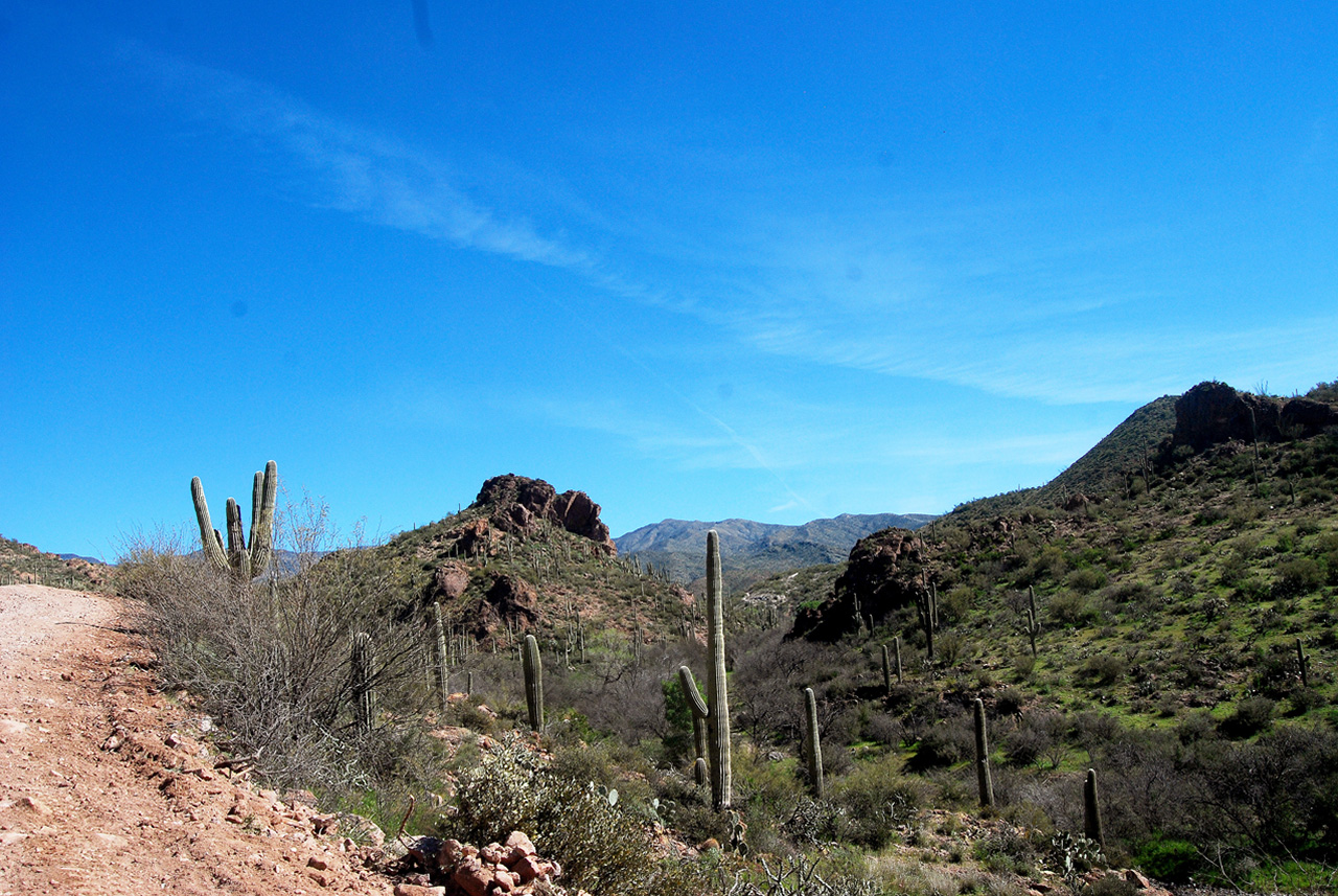 2017-03-09, 004, Montana Mtn Trail, AZ