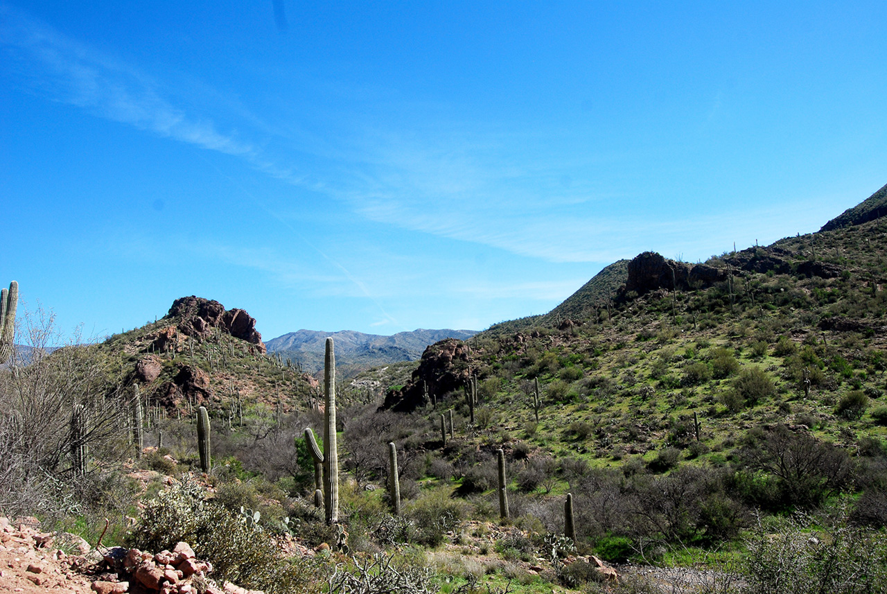 2017-03-09, 005, Montana Mtn Trail, AZ