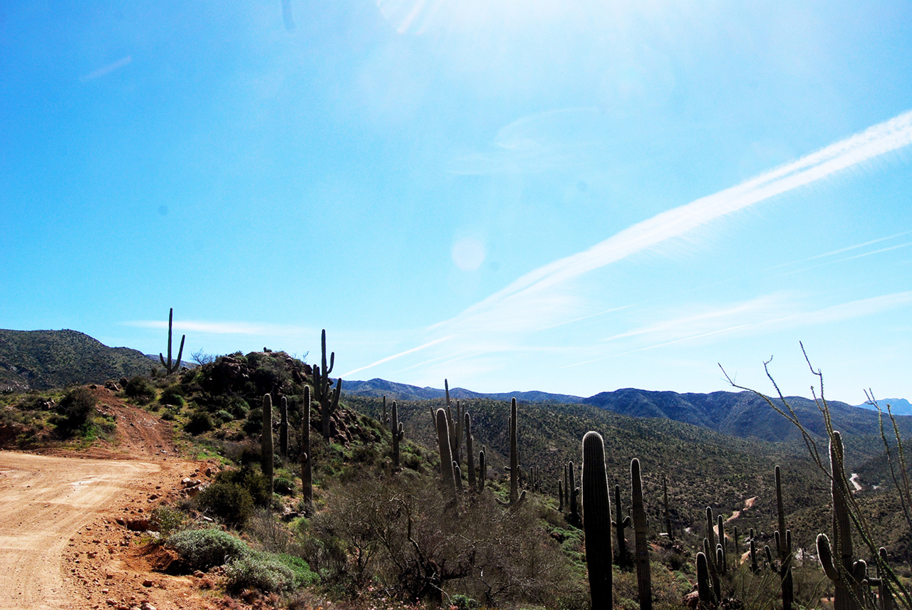 2017-03-09, 008, Montana Mtn Trail, AZ