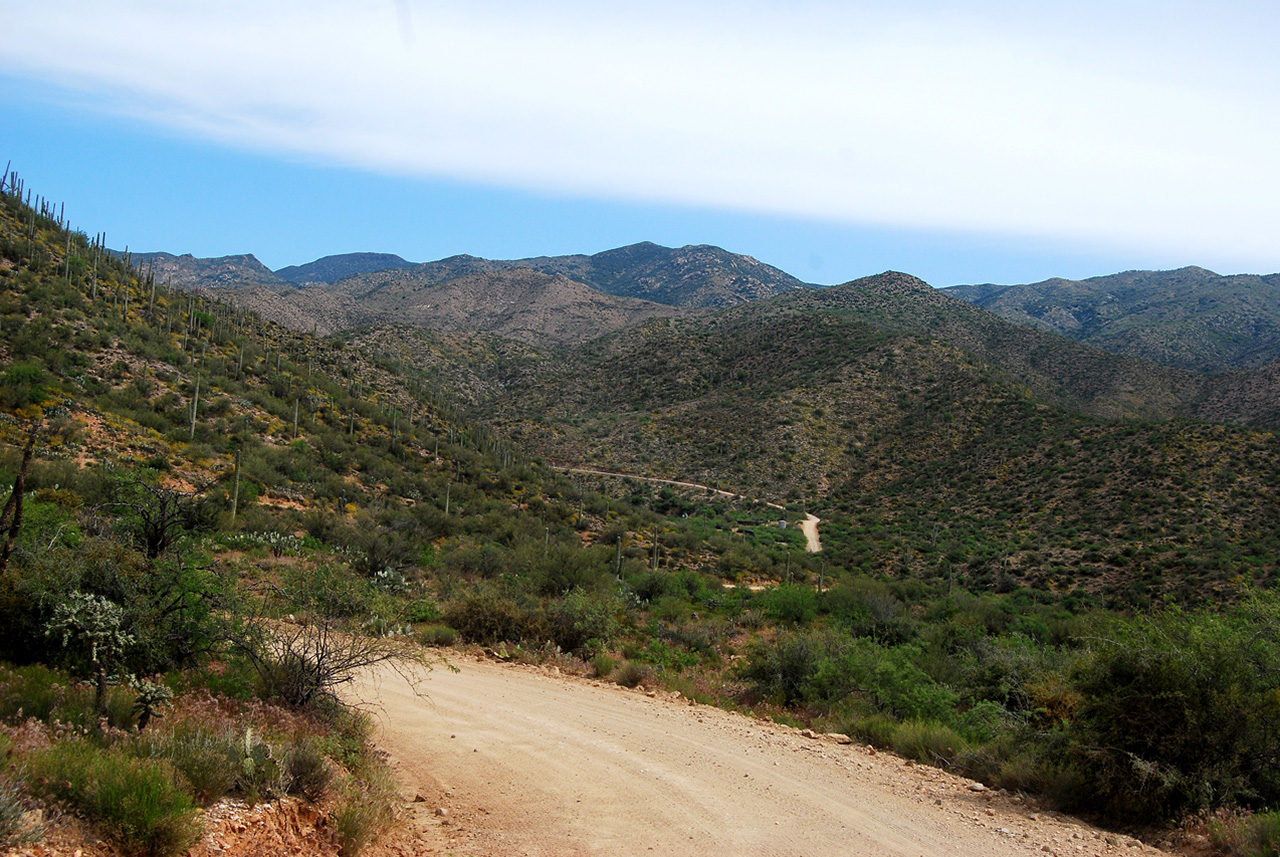 2017-04-13, 003, Montana Mtn Trail, AZ