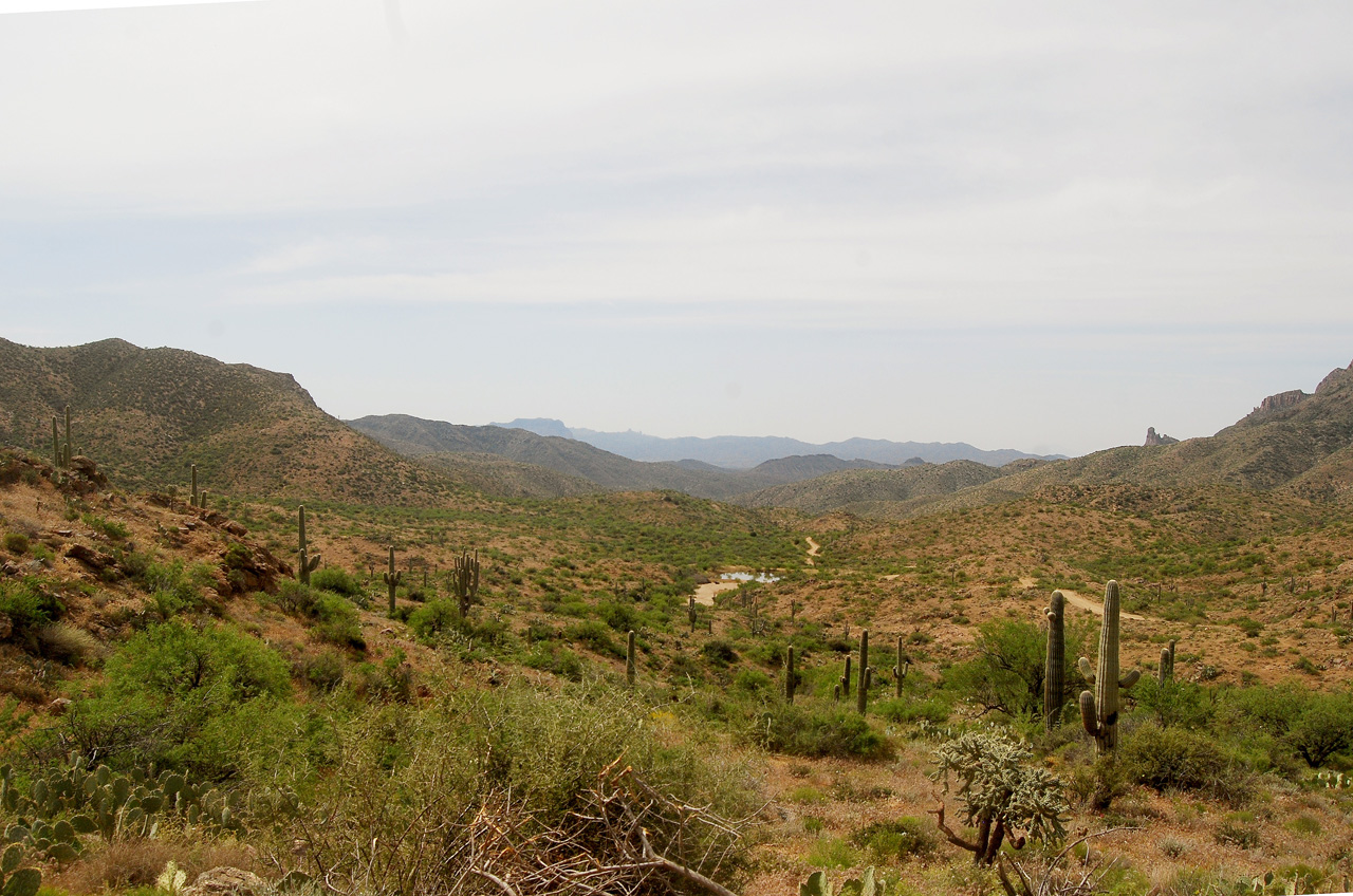 2017-04-13, 010, Montana Mtn Trail, AZ