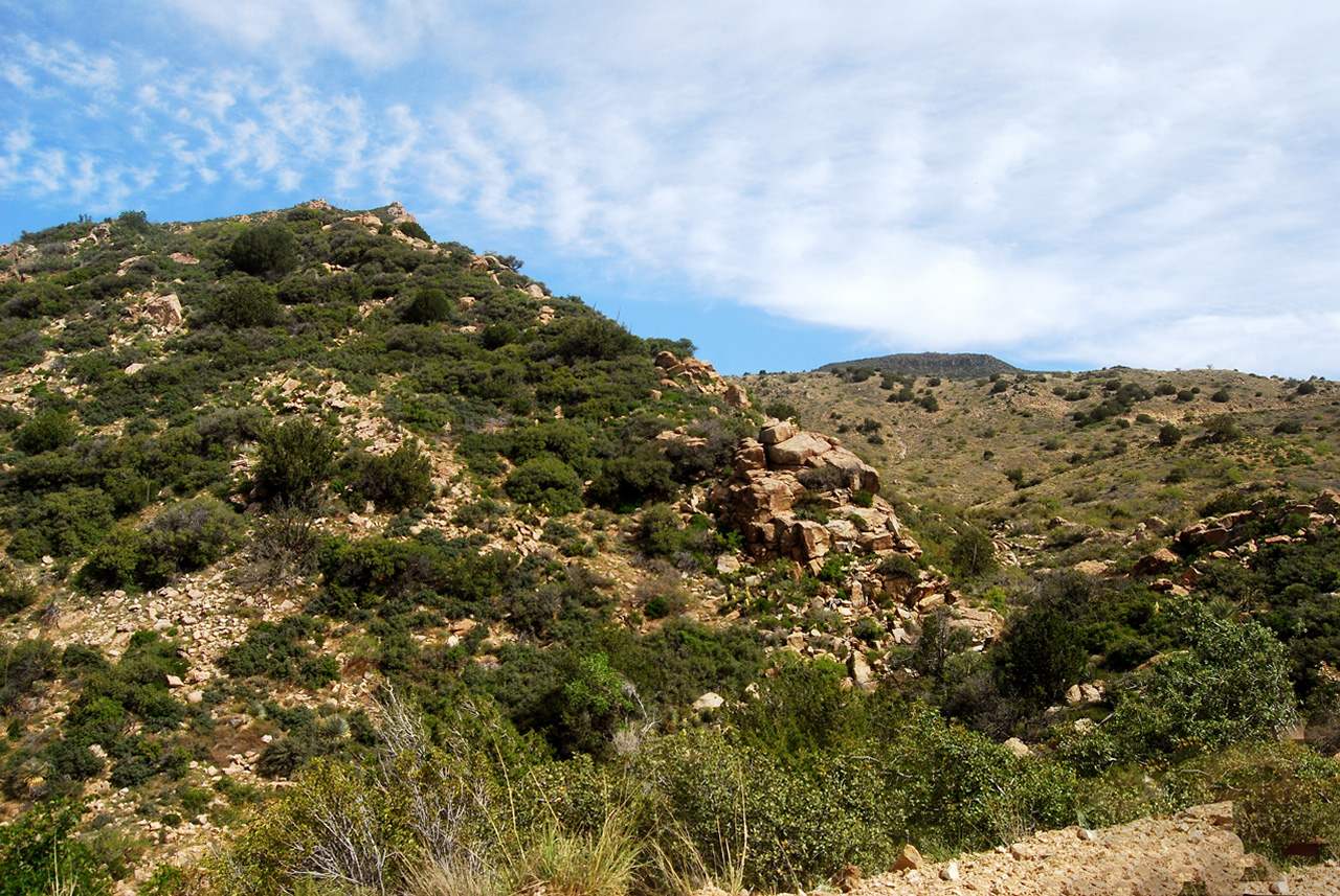 2017-04-13, 020, Montana Mtn Trail, AZ