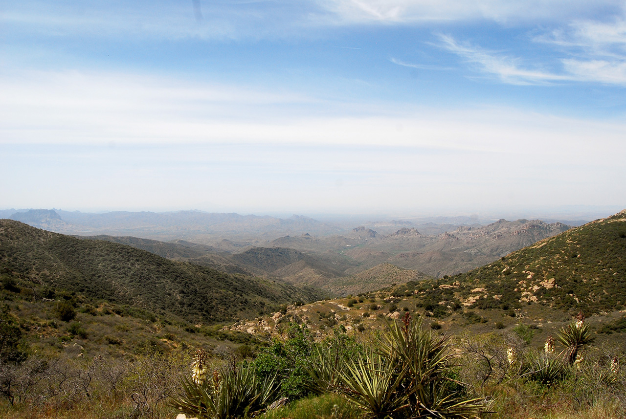 2017-04-13, 025, Montana Mtn Trail, AZ