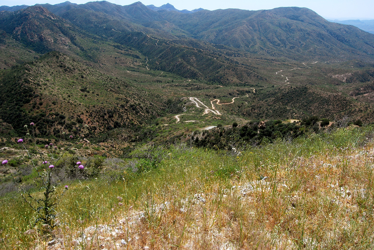 2017-04-13, 031, Montana Mtn Trail, AZ