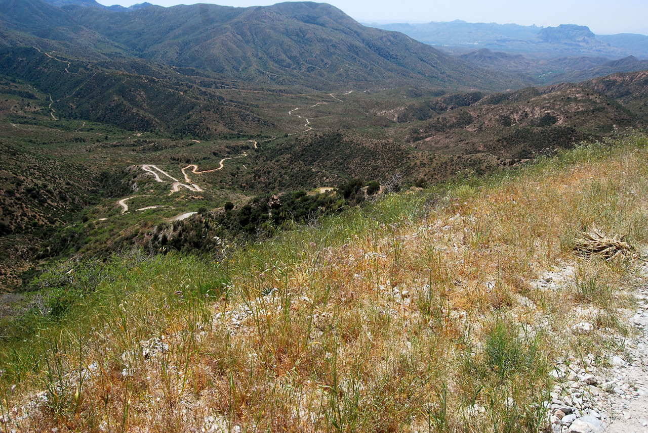 2017-04-13, 032, Montana Mtn Trail, AZ