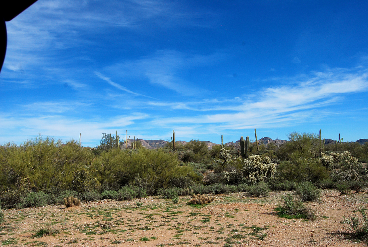 2017-02-10, 003, Trail off Peralta Road, AZ