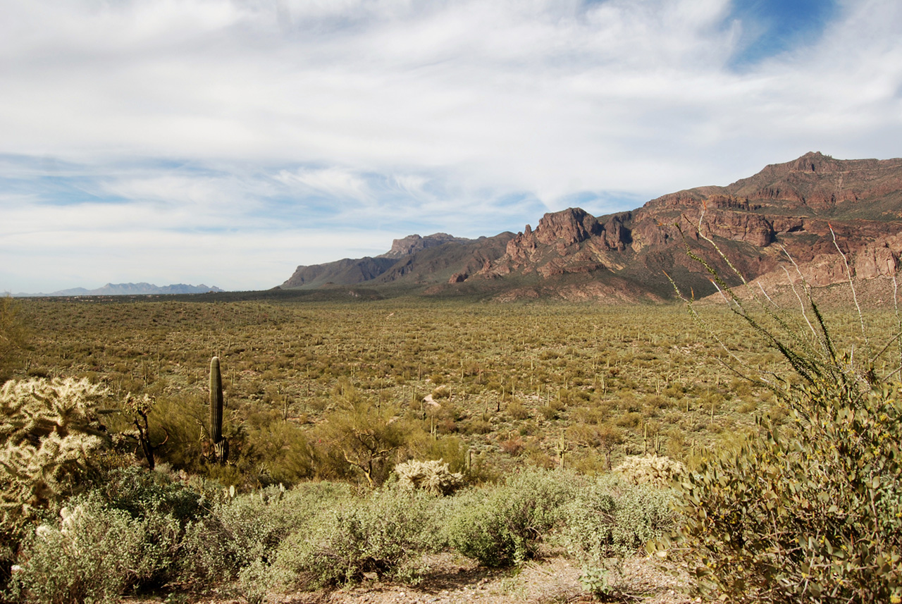 2017-02-10, 005, Trail off Peralta Road, AZ