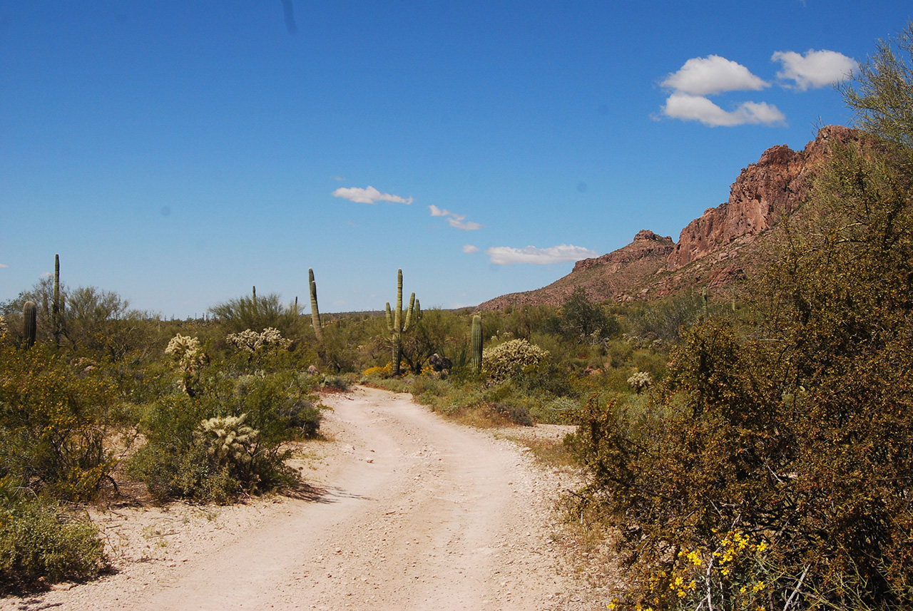 2017-03-28, 001, Trail off Peralta Road, AZ