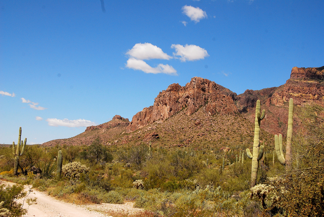 2017-03-28, 002, Trail off Peralta Road, AZ