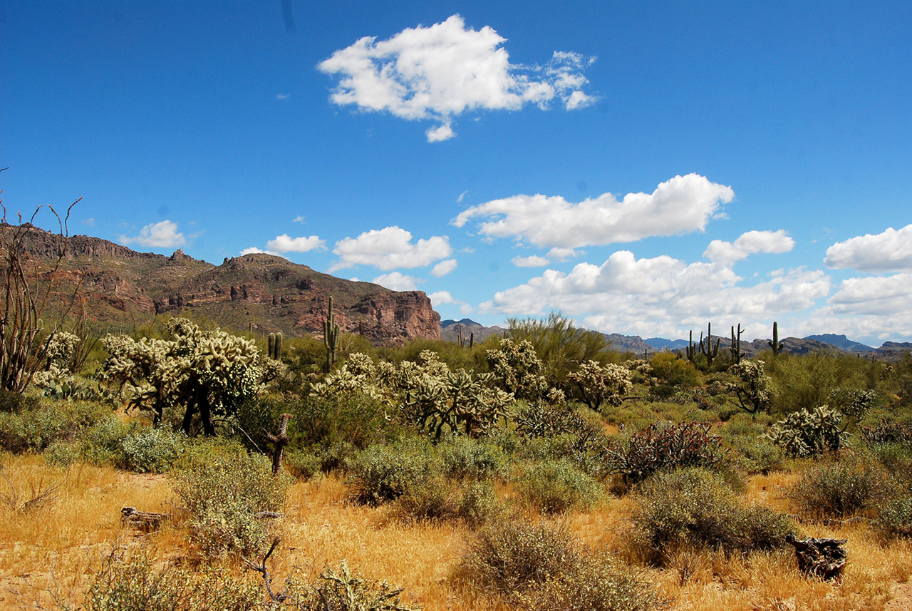 2017-03-28, 004, Trail off Peralta Road, AZ