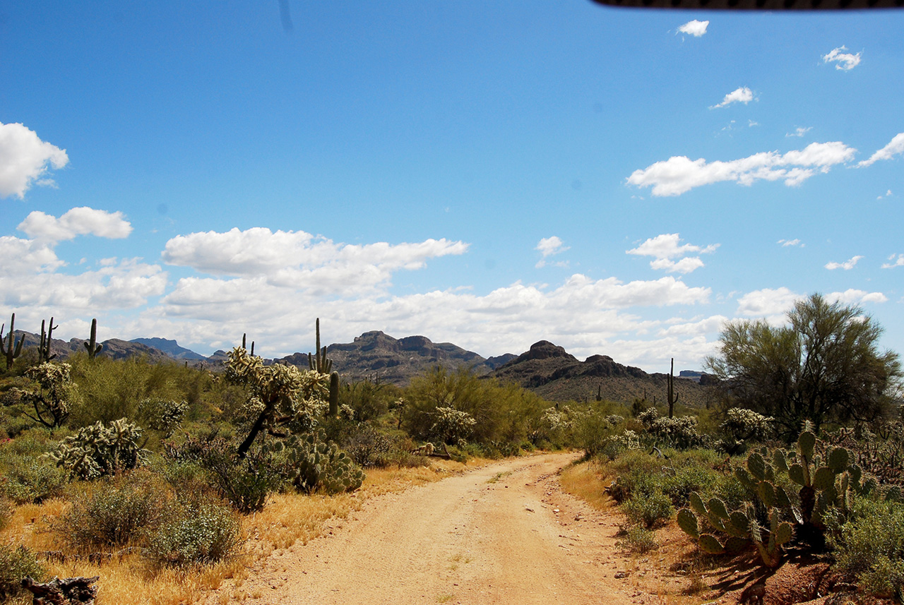 2017-03-28, 005, Trail off Peralta Road, AZ