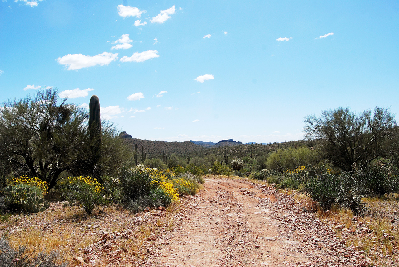 2017-03-28, 007, Trail off Peralta Road, AZ