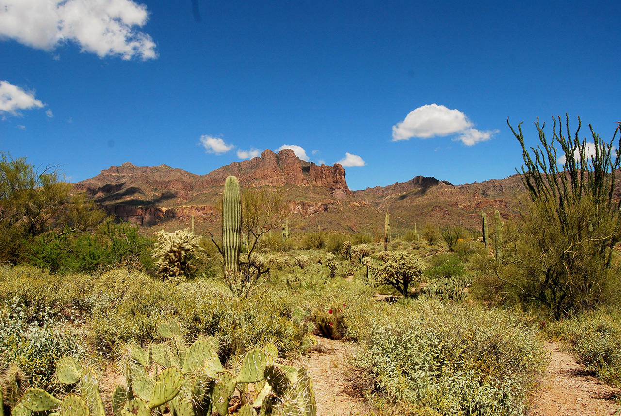 2017-03-28, 009, Trail off Peralta Road, AZ