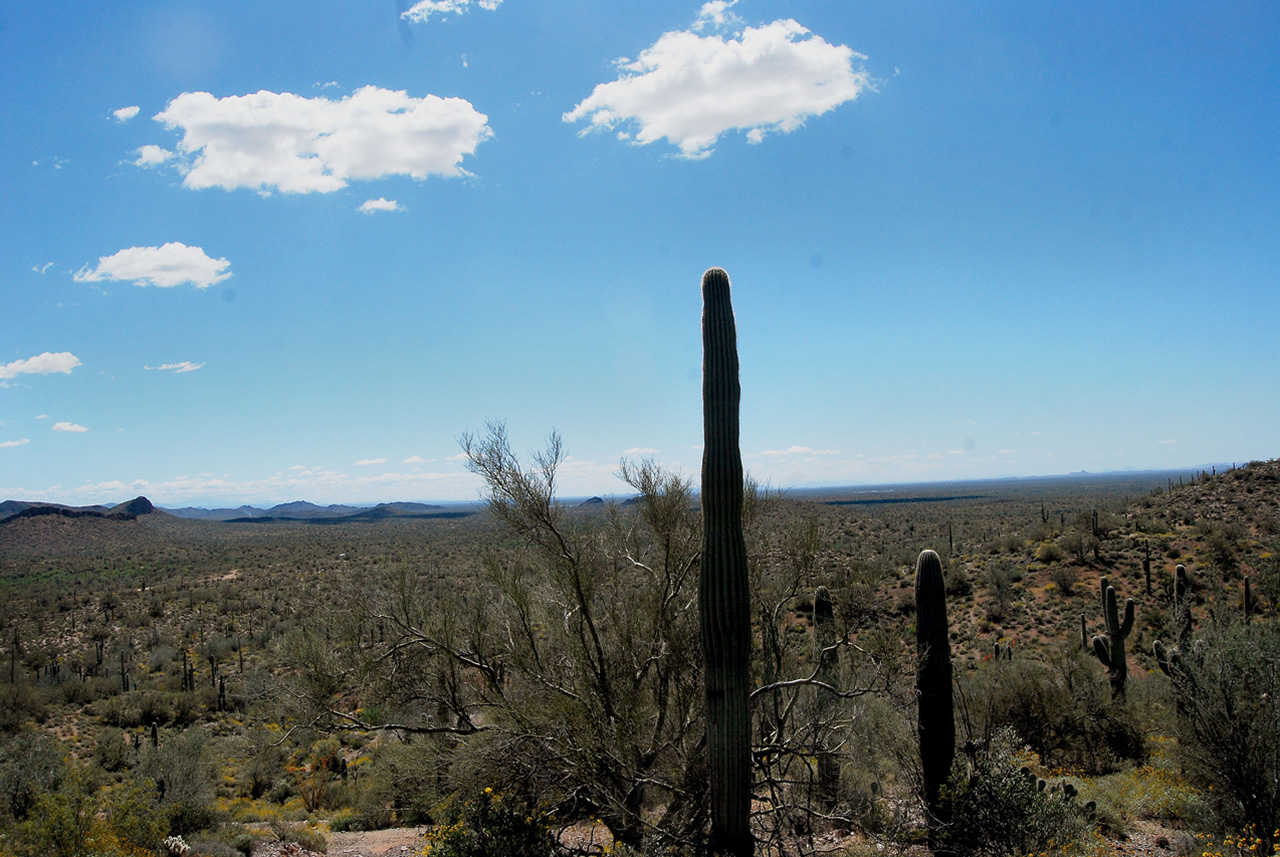 2017-03-28, 012, Trail off Peralta Road, AZ