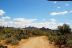 2017-03-28, 005, Trail off Peralta Road, AZ