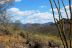 2017-03-28, 013, Trail off Peralta Road, AZ