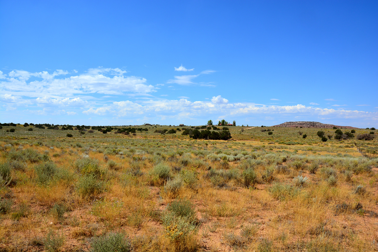 2019-09-06, 20, Looking West from House