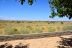 2019-09-06, 30, Looking West from the Rear Porch