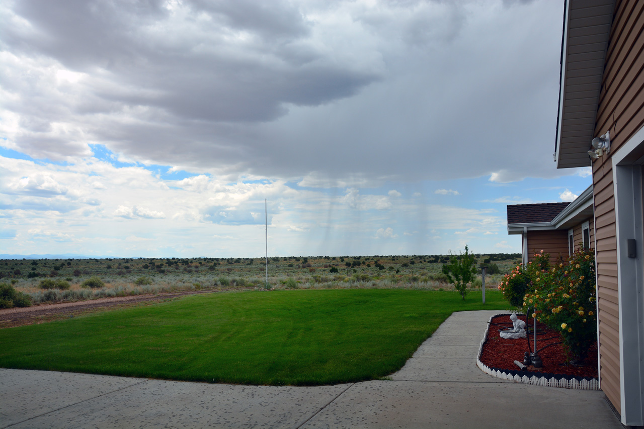 2019-07-10, 15, Looking S from the Drive Way