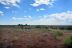 2019-07-10, 07, Looking at House from top of SW Hill 