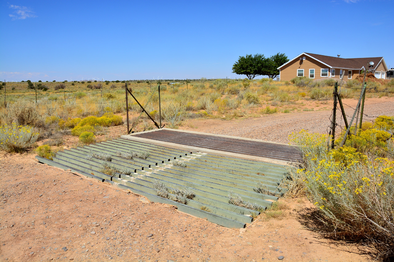 Cattle Grate 