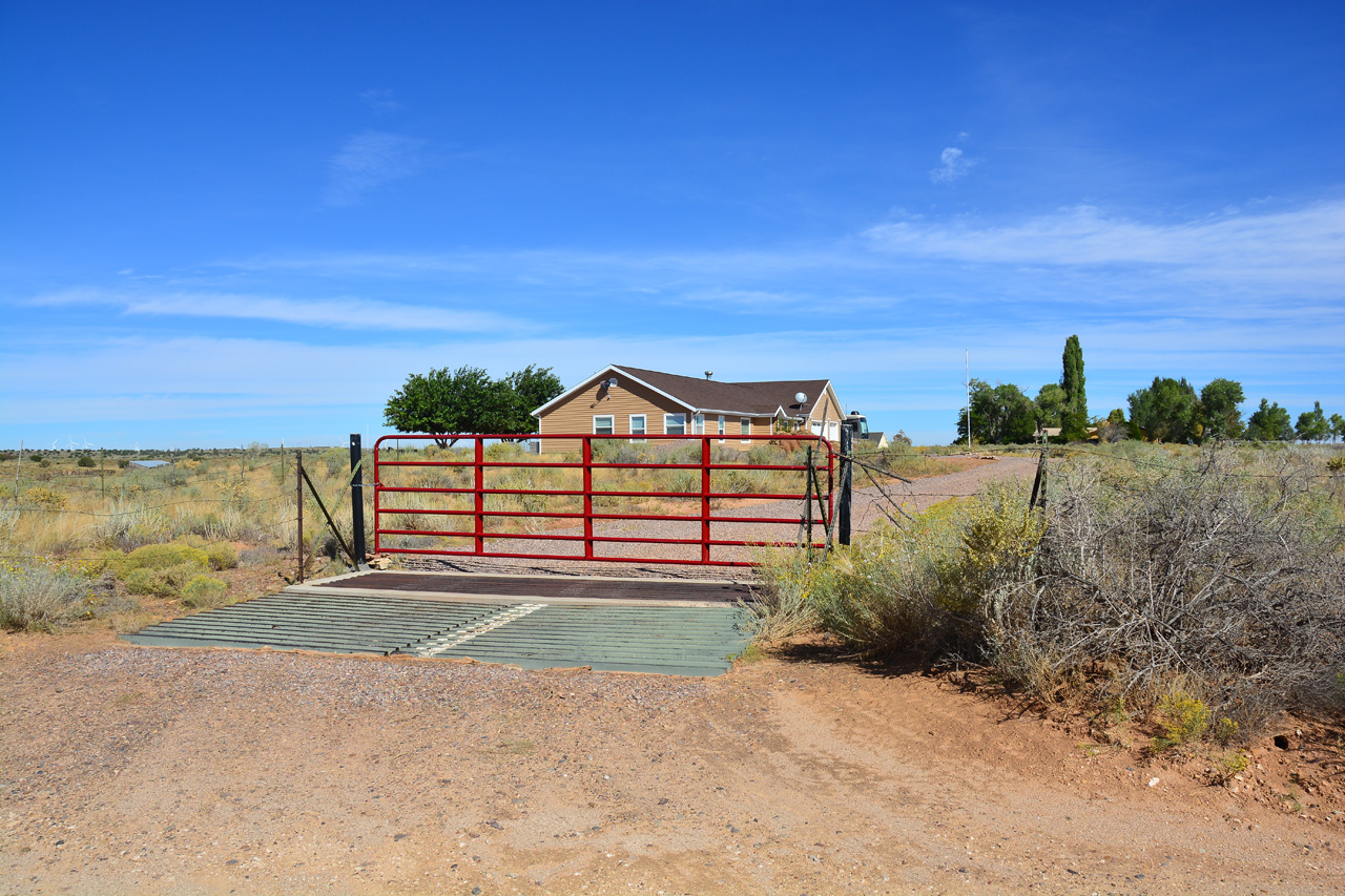 Cattle Grate with Gate