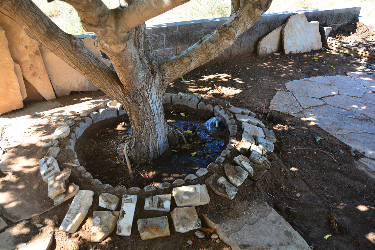 Water Wells Around Tree a