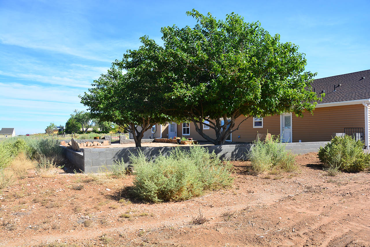 2019-09-25, 17, Rear of House