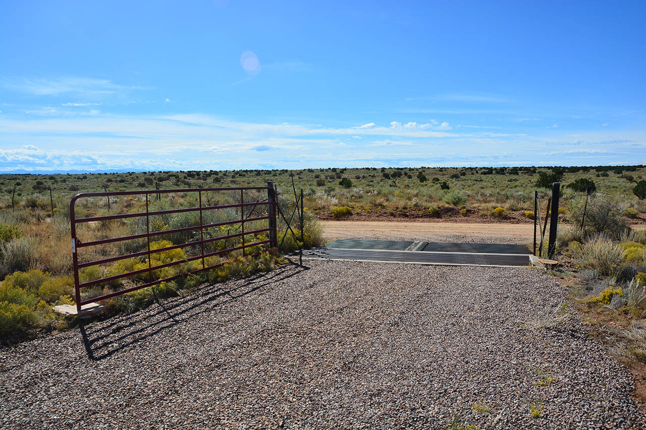 2019-09-25, 24, The Drive Way & Cattle Crossing