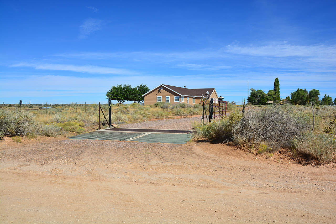 2019-09-25, 25, The Drive Way & Cattle Crossing