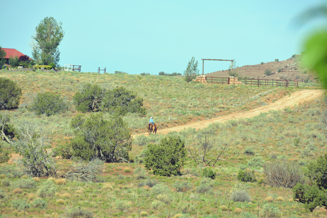 2021-07-32, 02, Neighbor Riding up the road