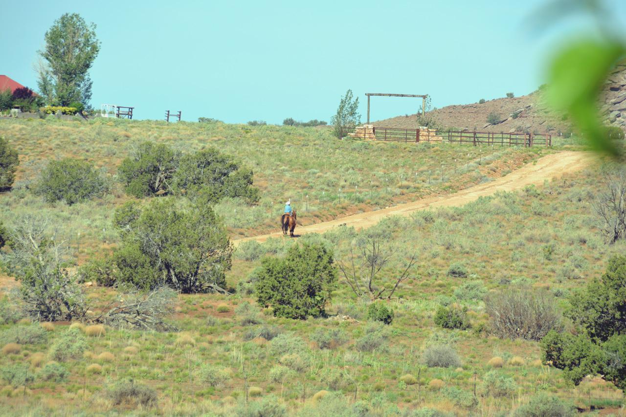 2021-07-32, 03, Neighbor Riding up the road