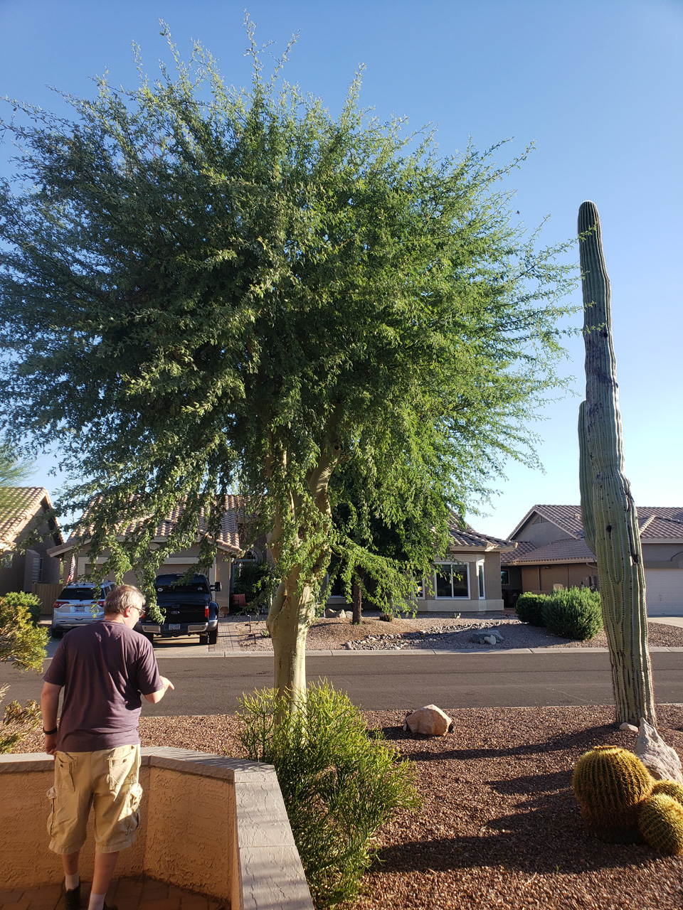 2022-09-17, 006, Palo Verde