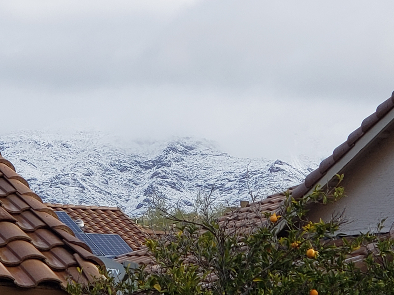 2023-03-02, 001, Snow in Gold Canyon