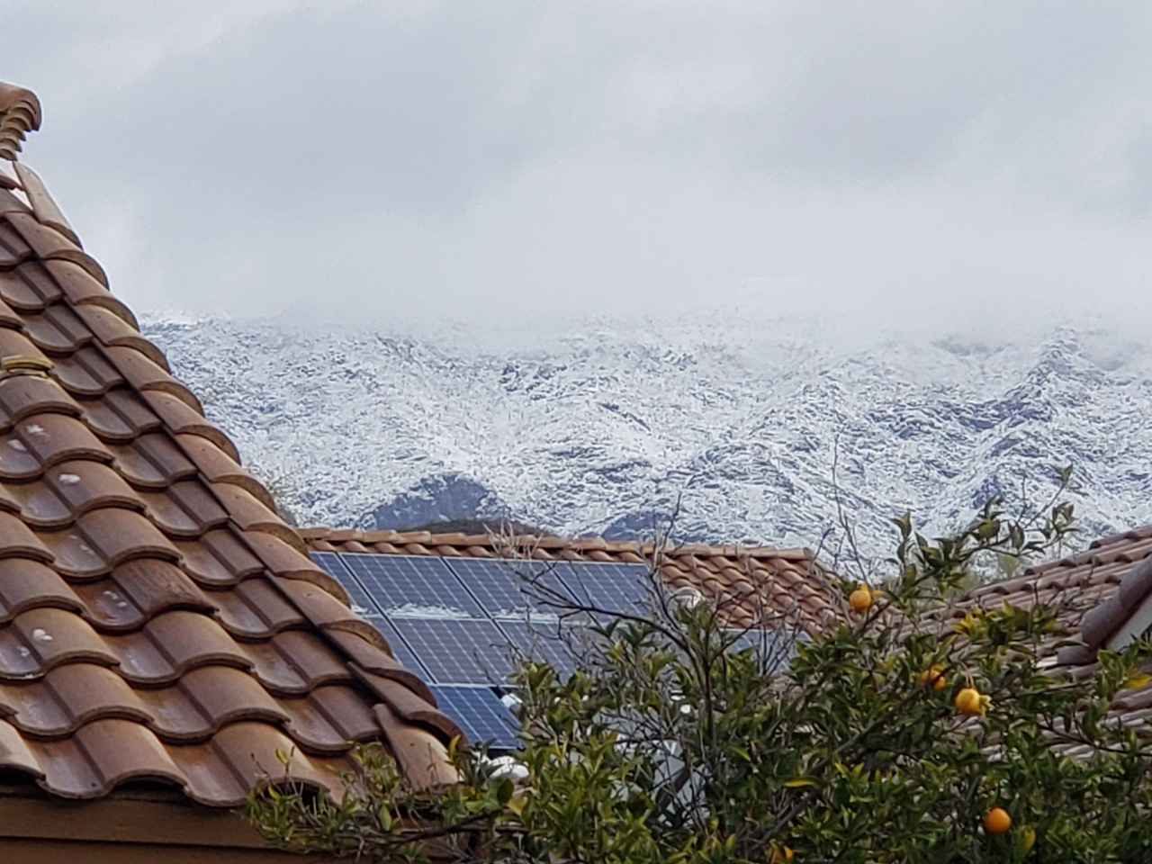 2023-03-02, 003, Snow in Gold Canyon