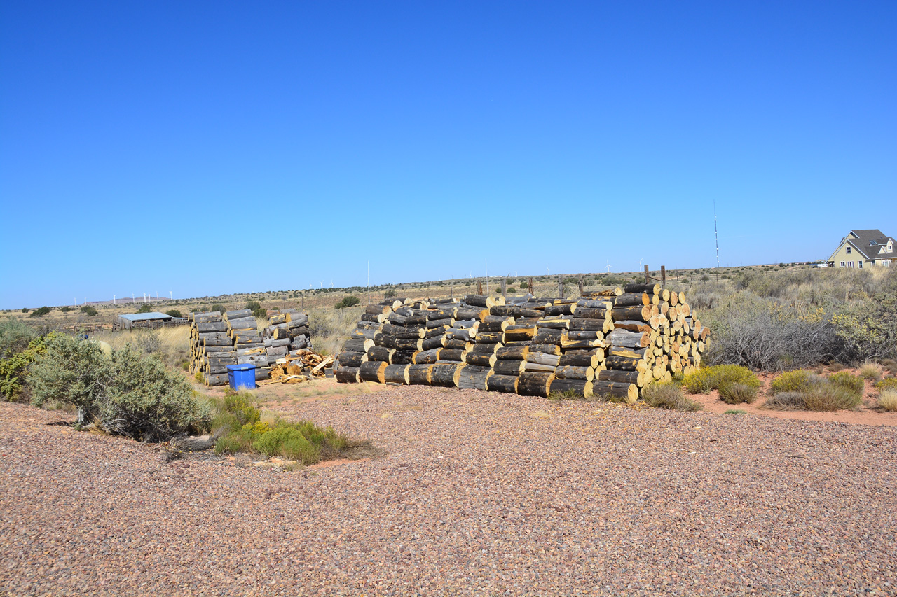 2023-09-09, 06, Firewood Cut & Stacked