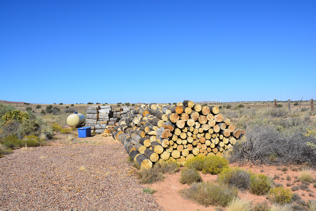 2023-09-09, 07, Firewood Cut & Stacked