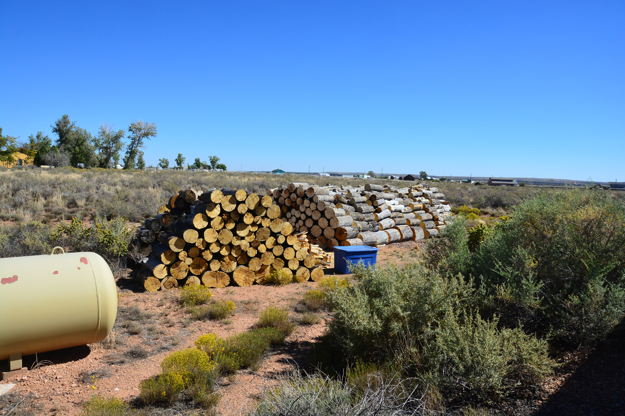 2023-09-09, 09, Firewood Cut & Stacked