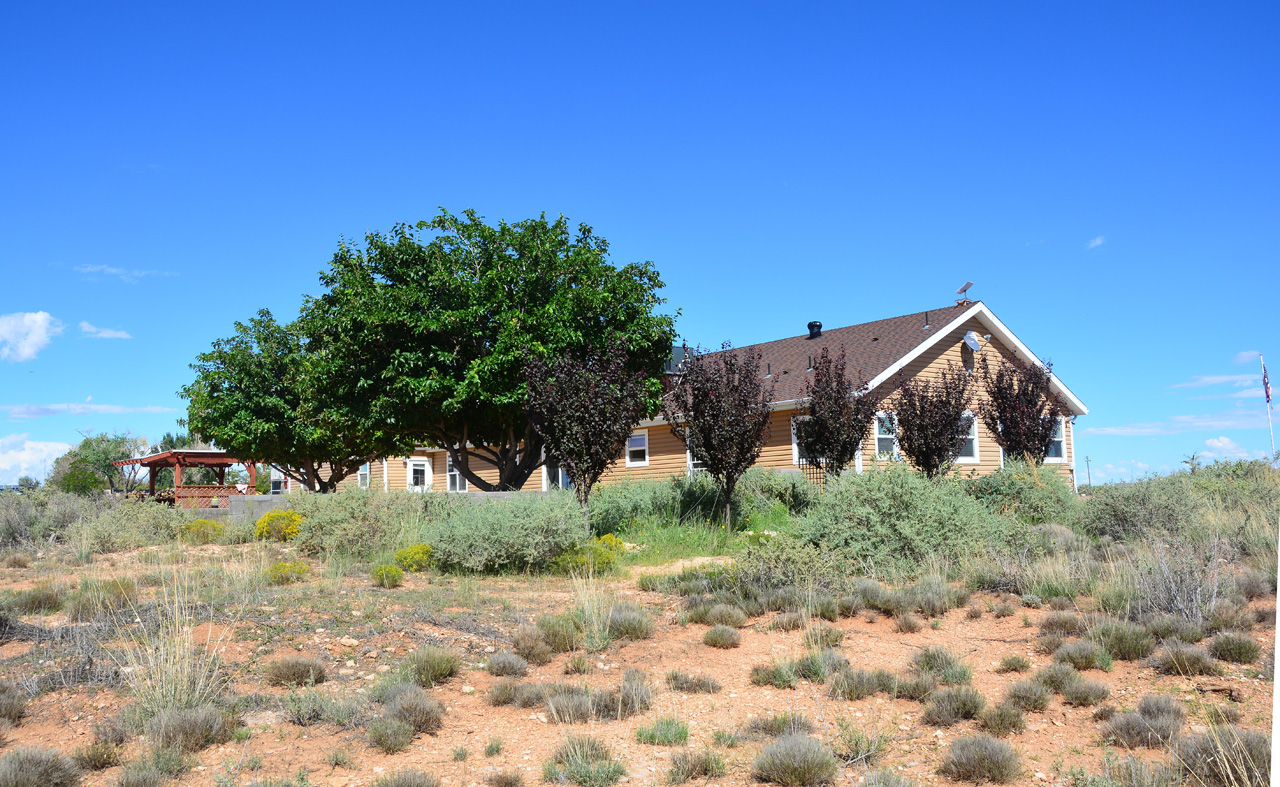 2023-09-07, 4, Plum & Mulberry Trees