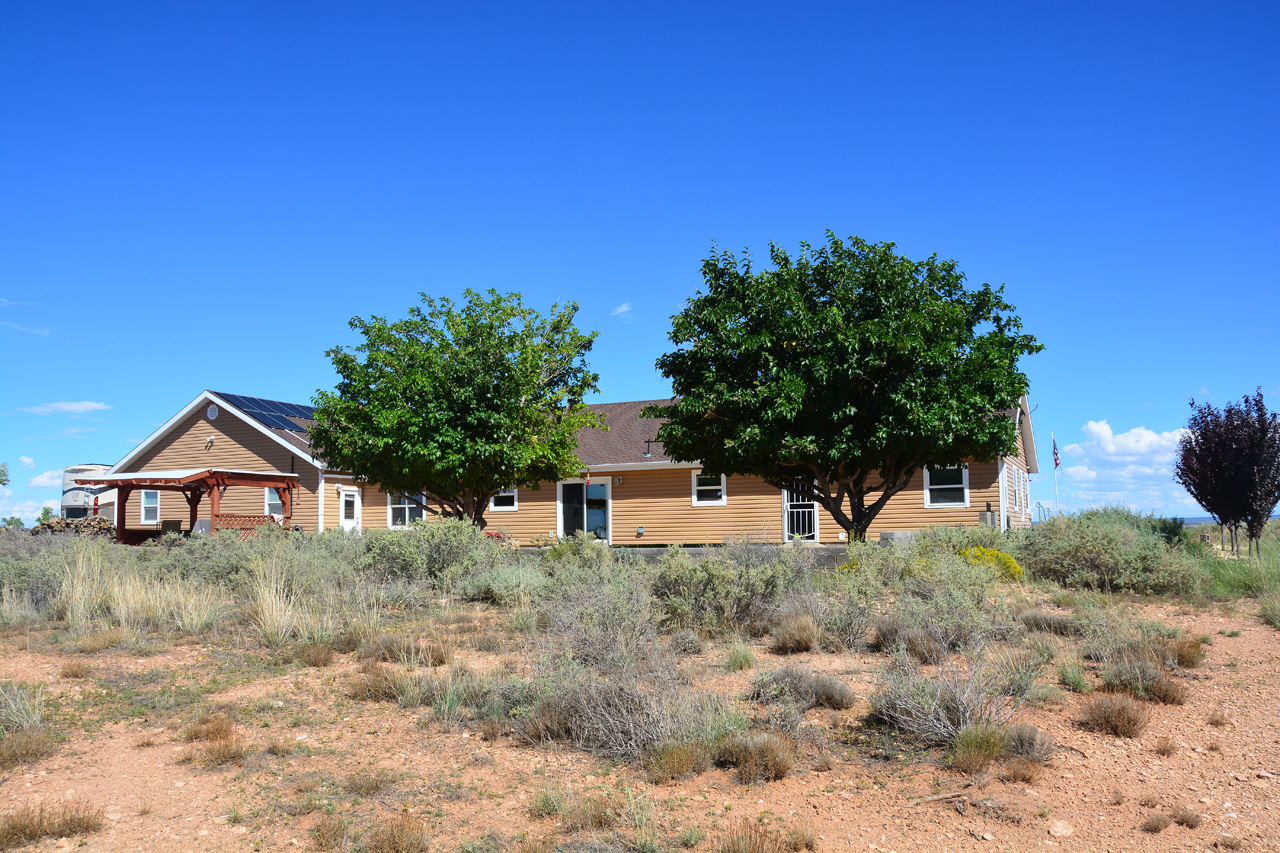 2023-09-07, 5, Mulberry Trees